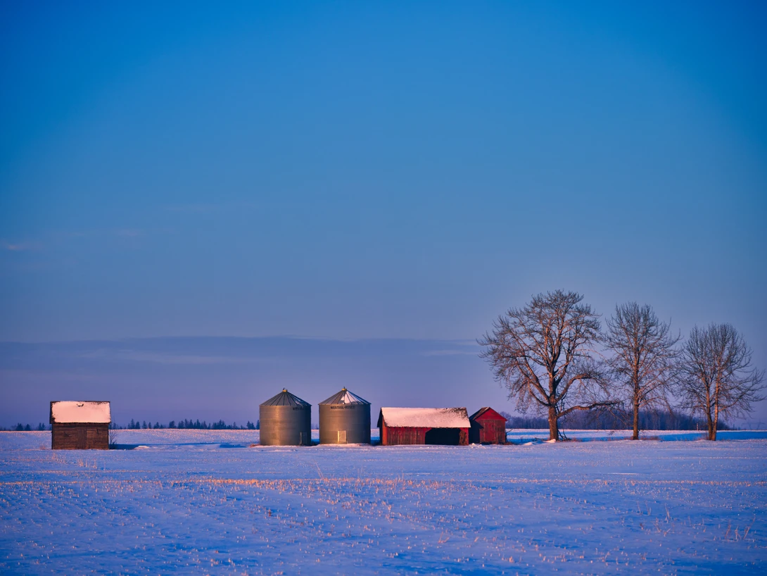 View 9db45586d170009fc1ac199aa0362fb4.jpg by Rhonald Rose
