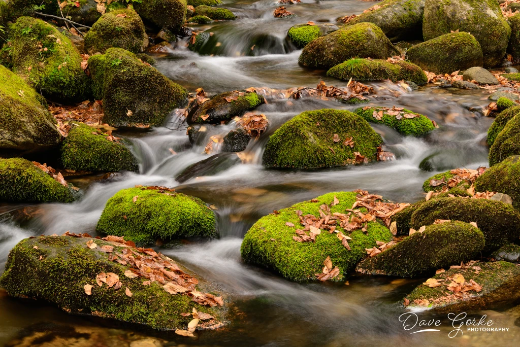View c3675456e6582c2682de934d499e7674.jpg by David Gorke