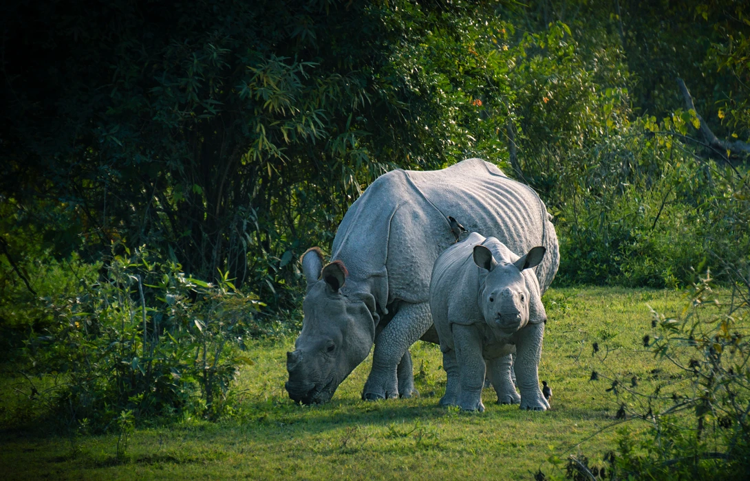 View 8354f43399b74f62a72d772f76d8e3cd.jpg by Ram Ramkumar