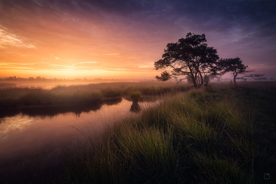 View Belgian heath by Kevin Teerlynck