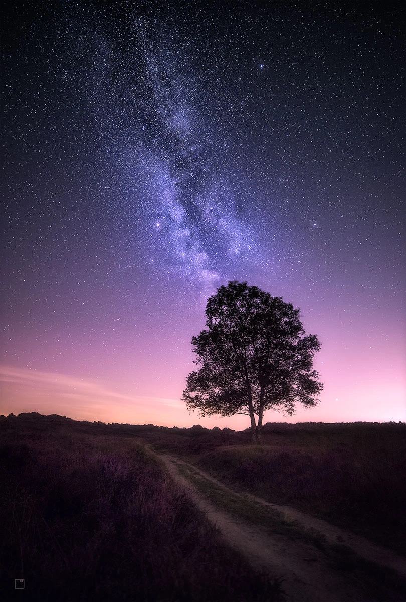 View Gleaming stars above the flowering heather by Kevin Teerlynck