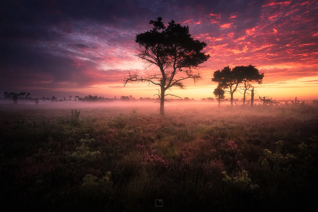View good morning sunshine! by Kevin Teerlynck