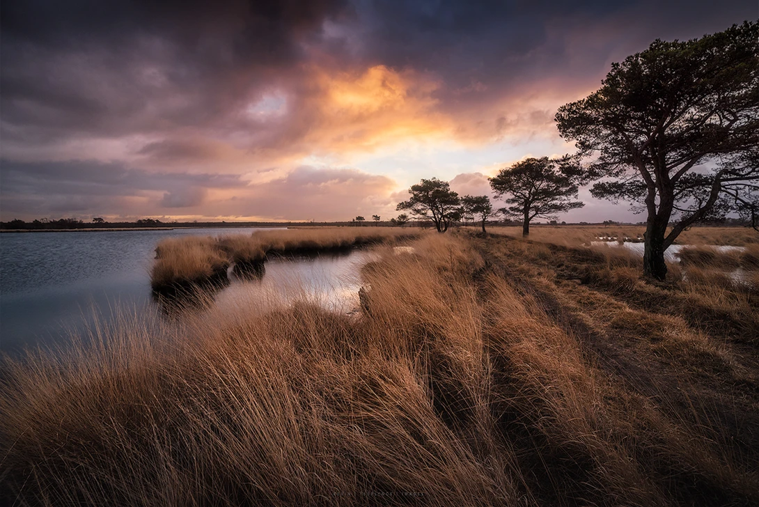 View this is Belgium! by Kevin Teerlynck