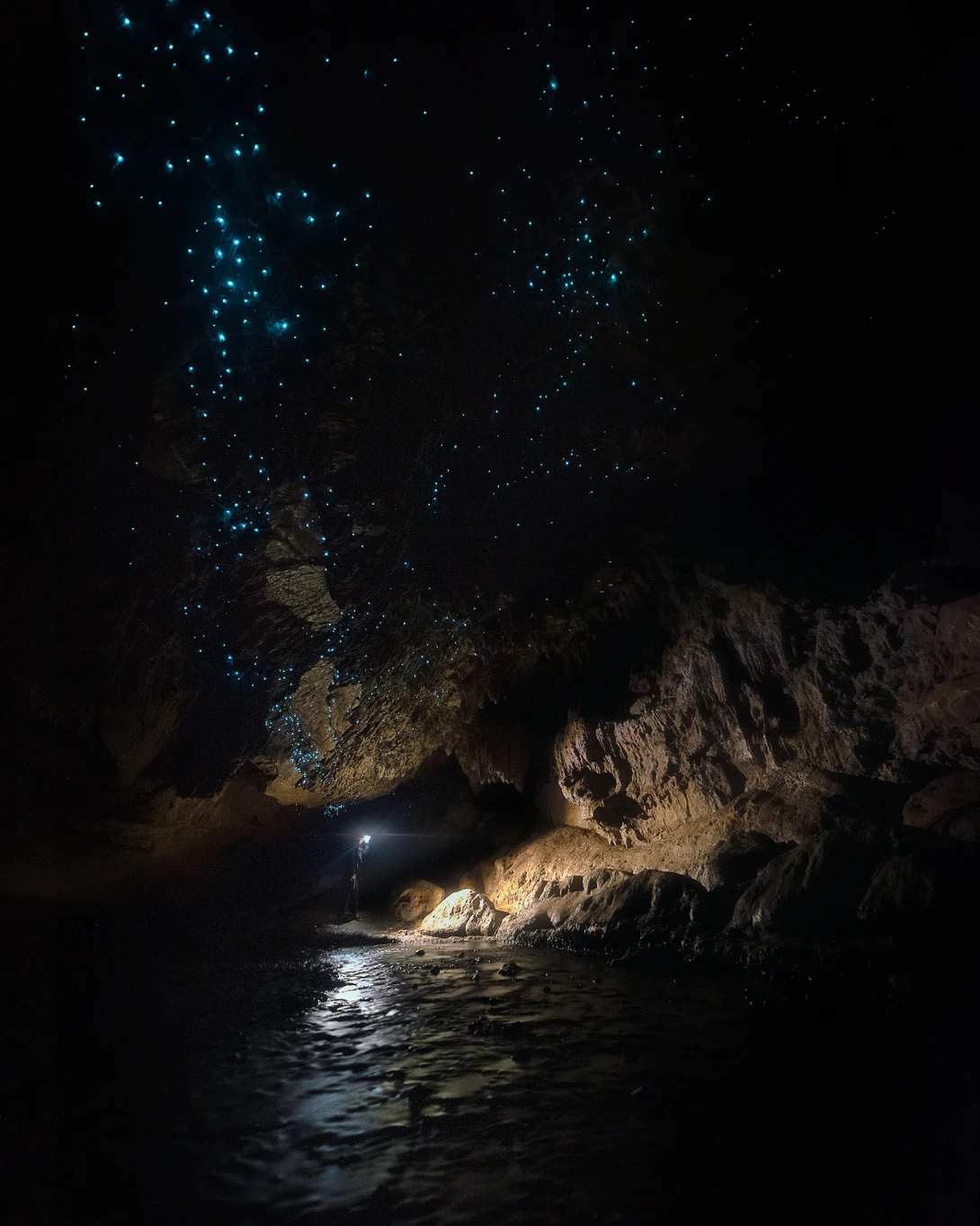 View Exploring glowworm caves in New Zealand by Ryan Hill