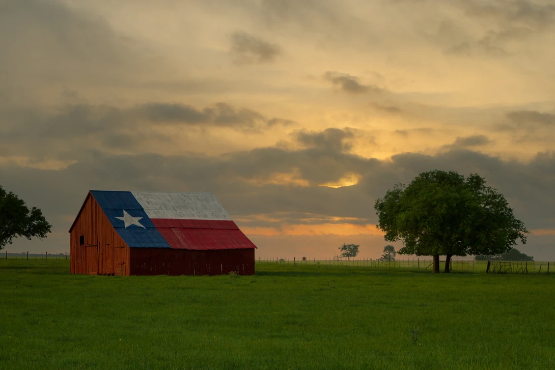 View Texas by Daniel Rowland