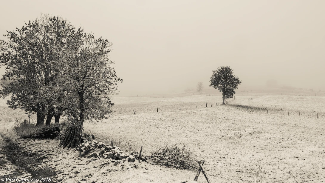 View Stage Auvergne, Sauges 01 by Vito Cagnazzo