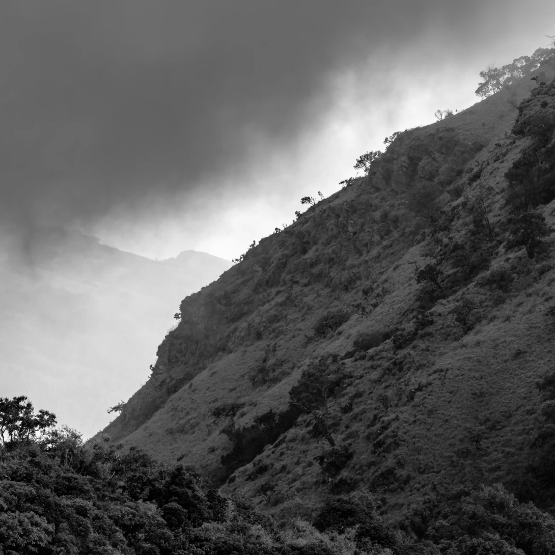 View It's coming by Vito Cagnazzo