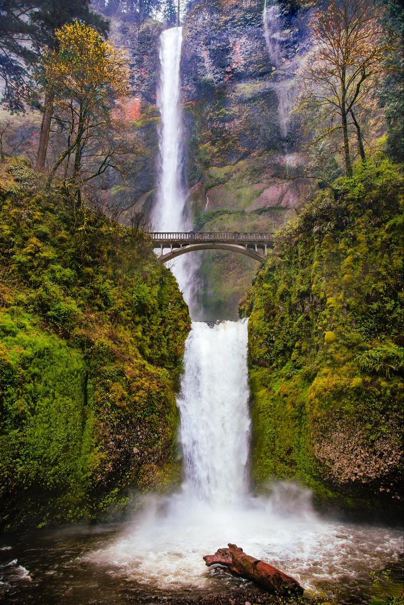 View Multnomah Falls by Per Farny