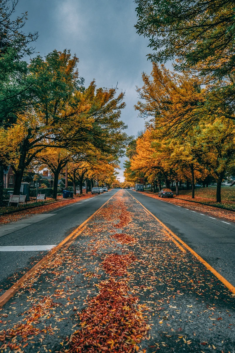 View Down on MLK: Good morning by Per Farny