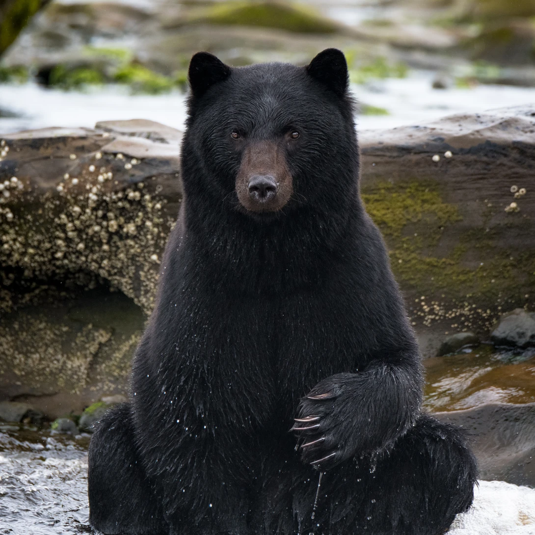 View Sitting Pretty by Bodkin's Best Photography