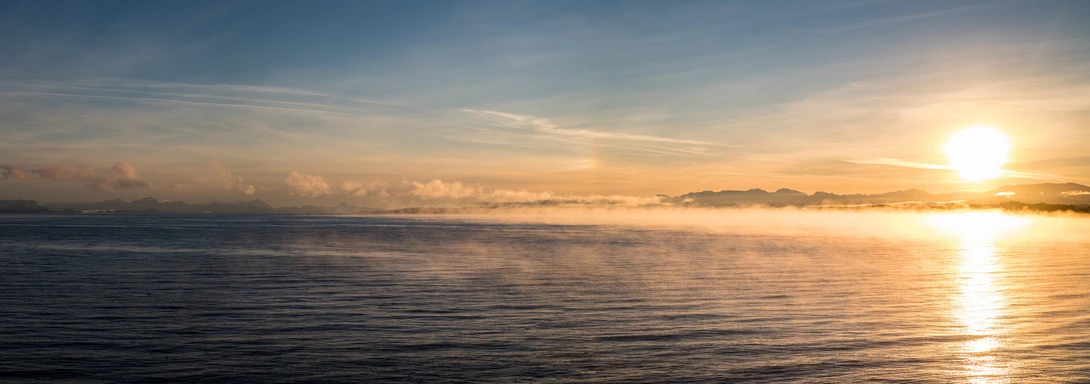 View 4a5c441beab2b63d8a7966c4c693d17b.jpg by Bodkin's Best Photography