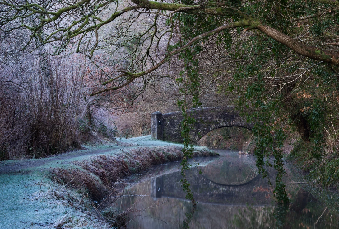 View Cool Canal by Ian Hayward