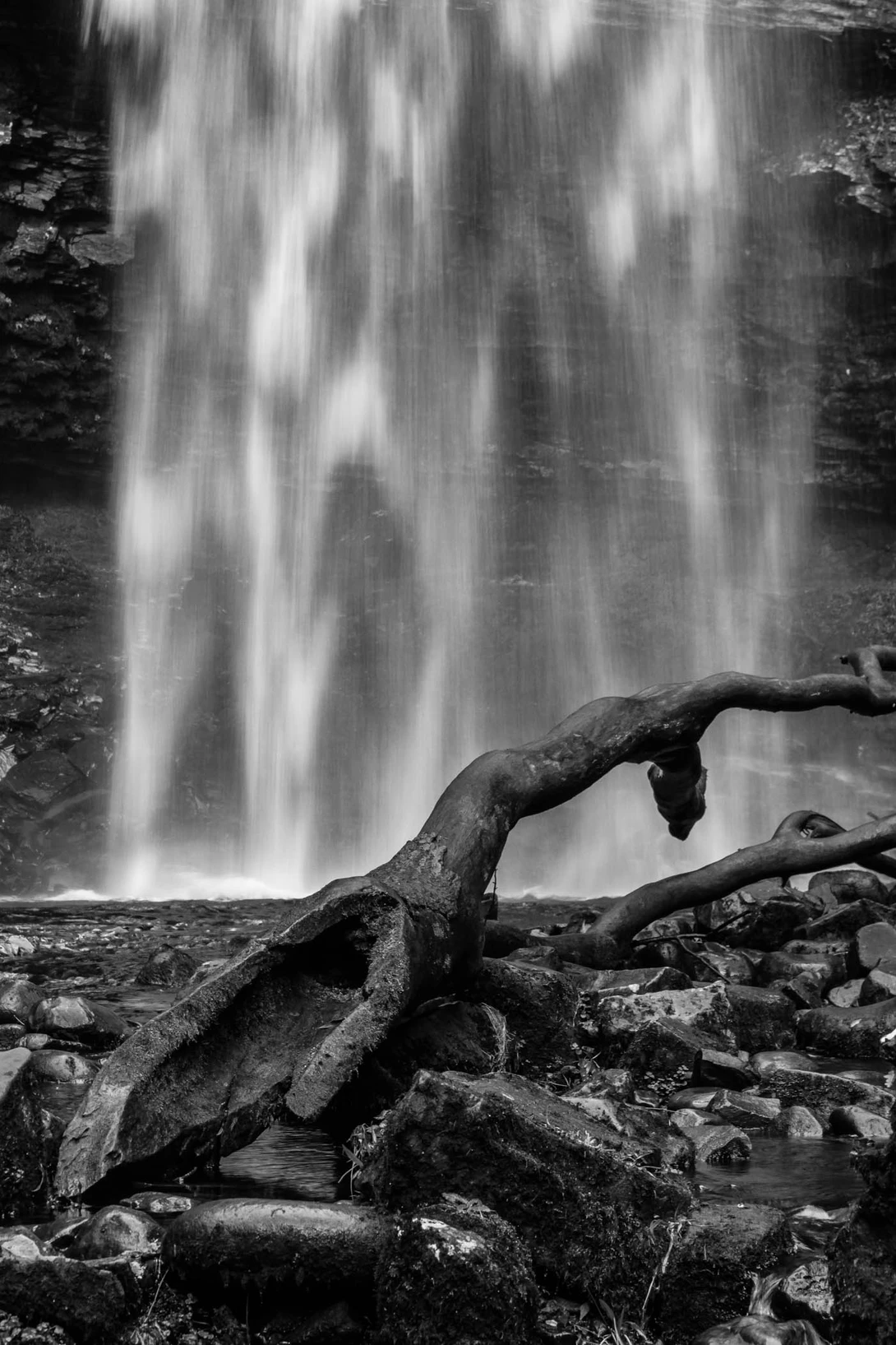View 507f229f8362b6fb874810c88cfda5a4.jpg by Ian Hayward