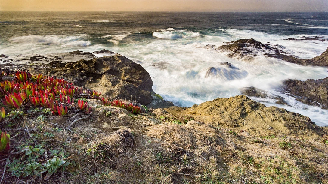 View Rugged Coast by Madgreek Photography