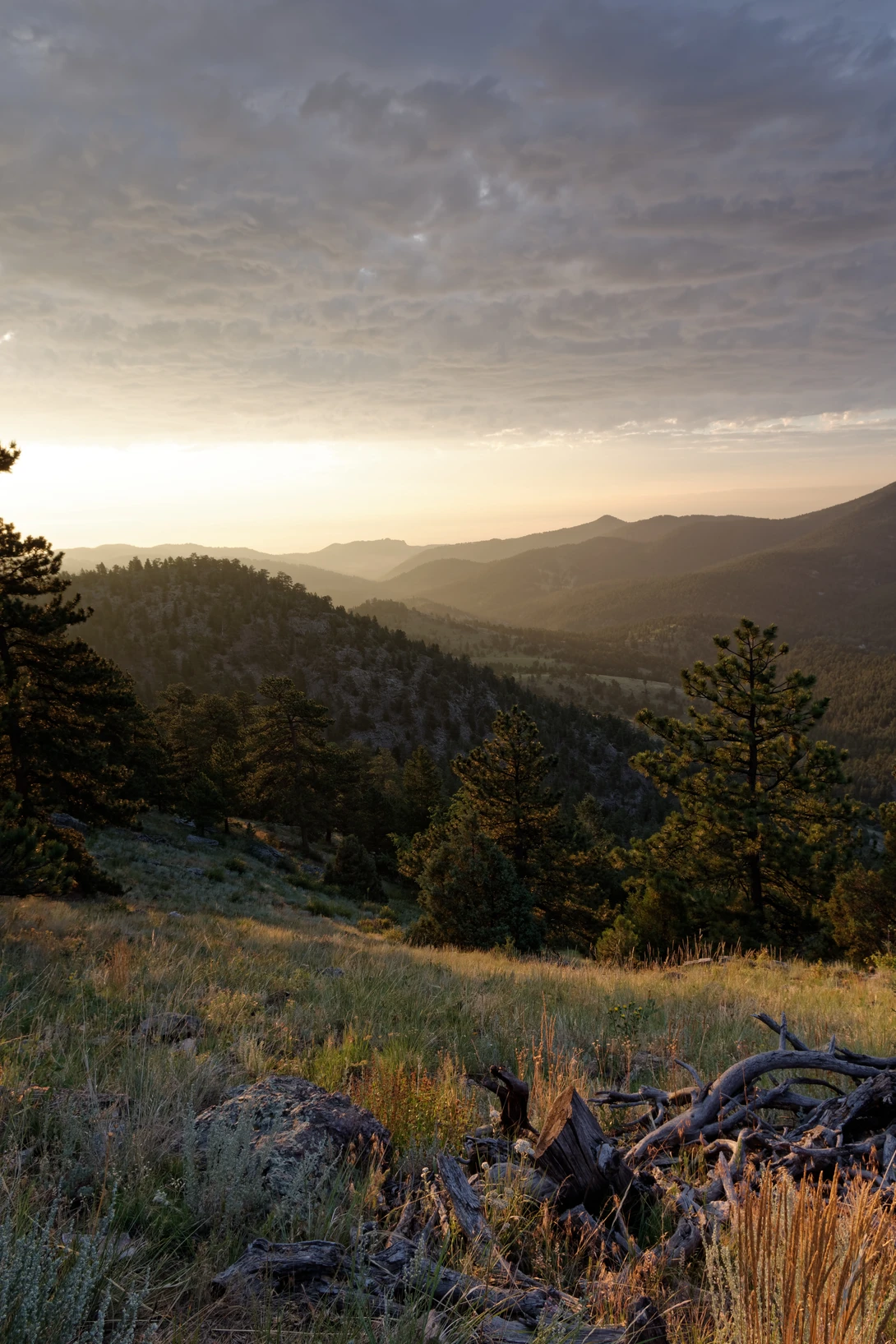 View Sunrise at golden gate canyon by Patrick Barringer