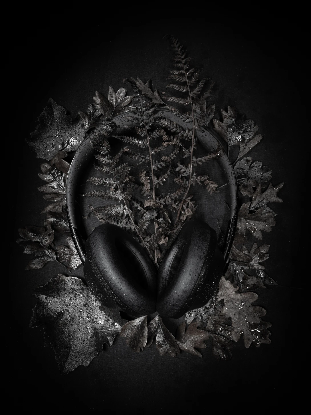 View Black Fern Music by Marina Kha