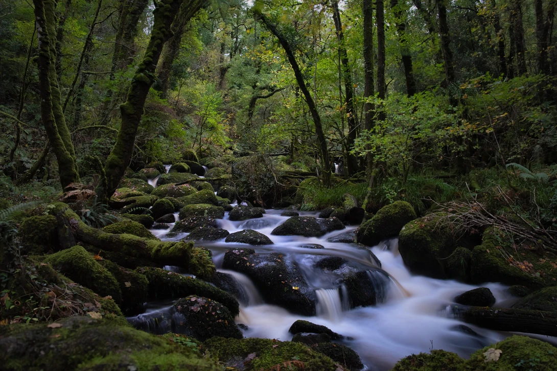 View Falls by Lee Filby