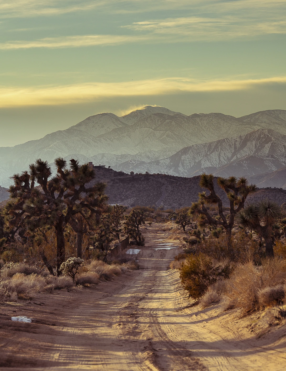 View Road to San Gorgonio by Mike Pitts