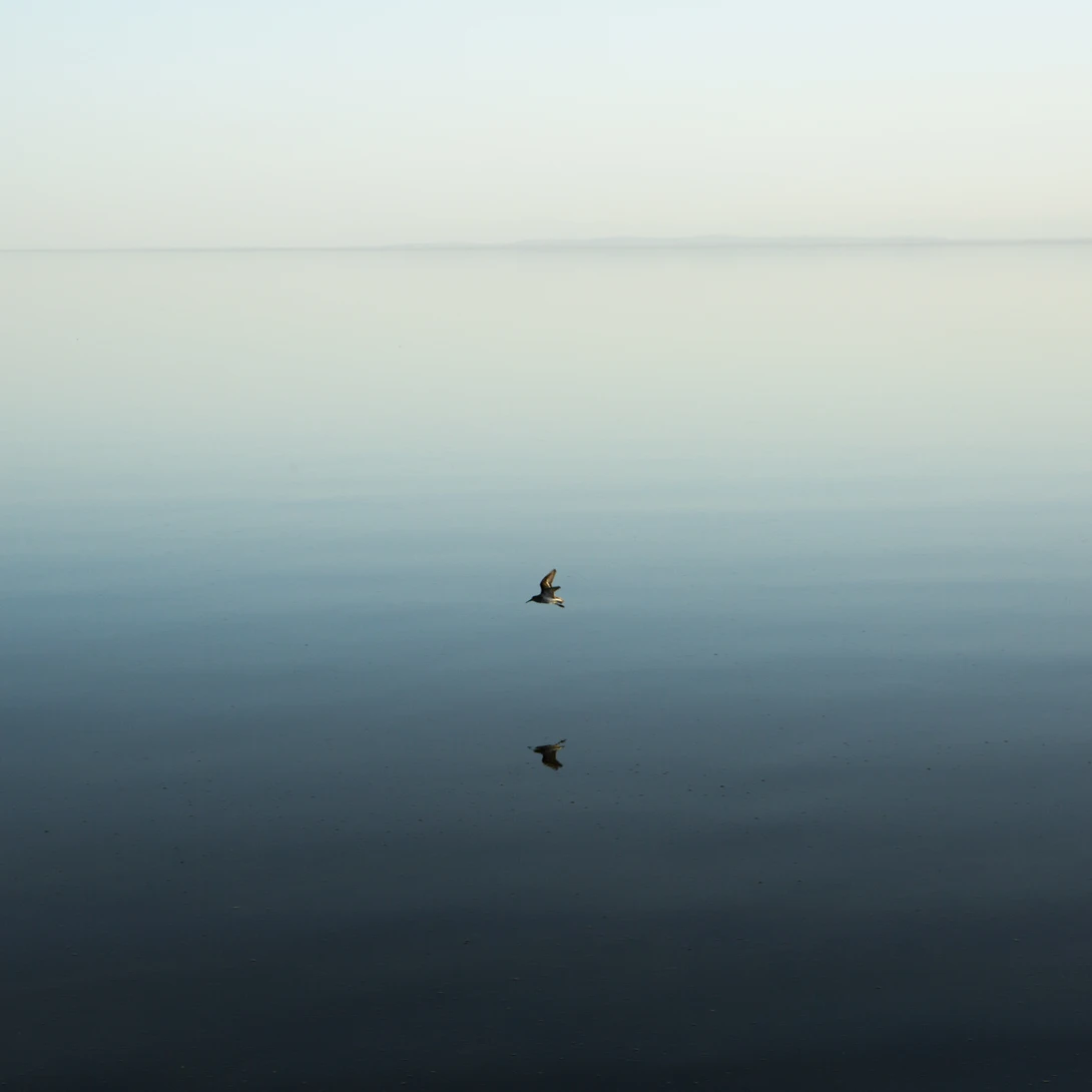 View 9f441403a946f61a8daafa994d9da2bf.jpg by Mike Pitts