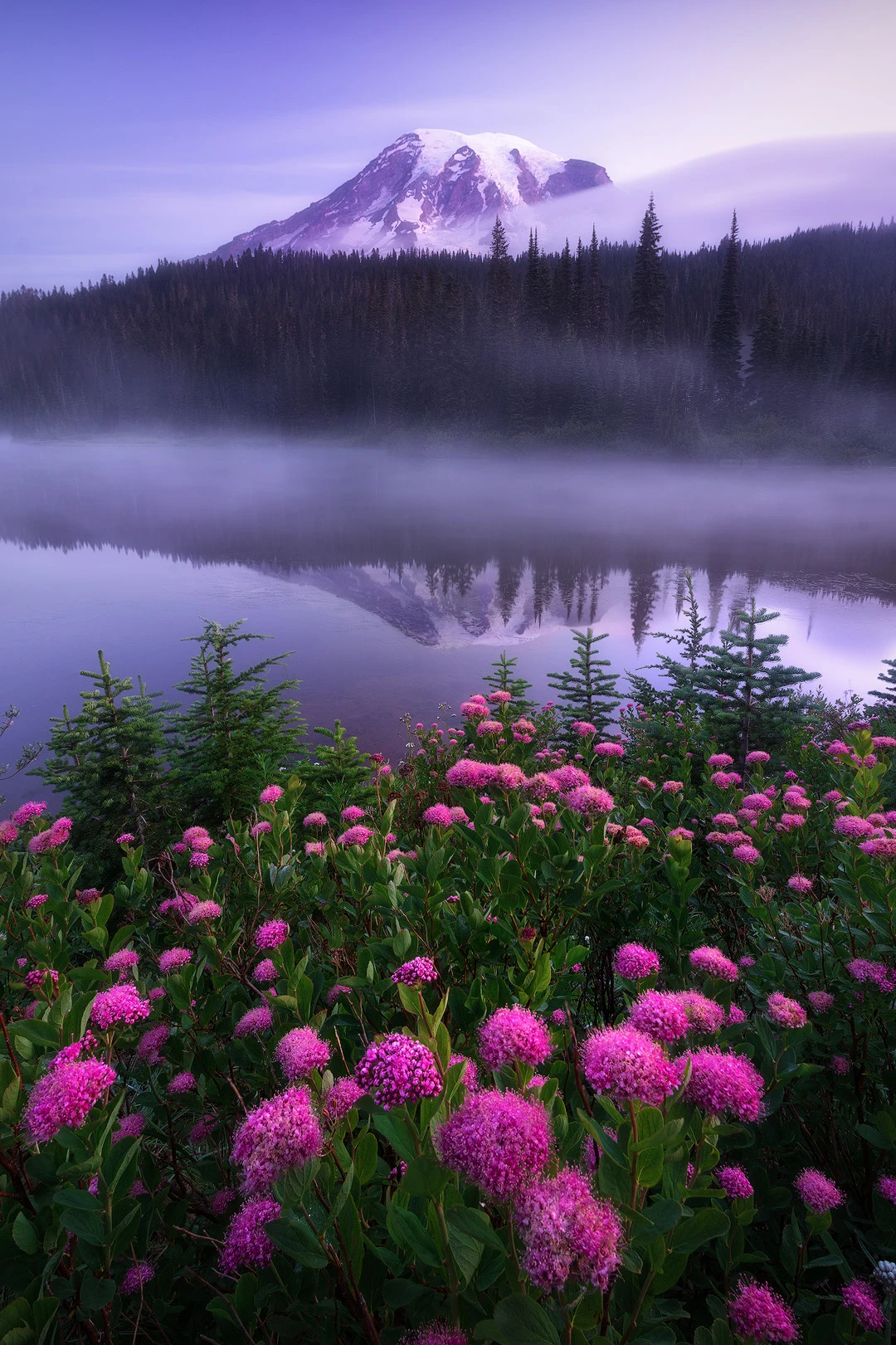 View "Still" by Jacob Klassen