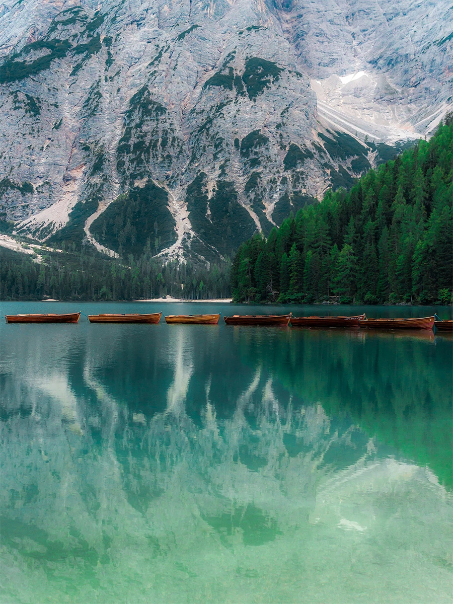 View eeb0f4f21085fd21f0c0ddcbd0819b7c.jpg by LS Studio
