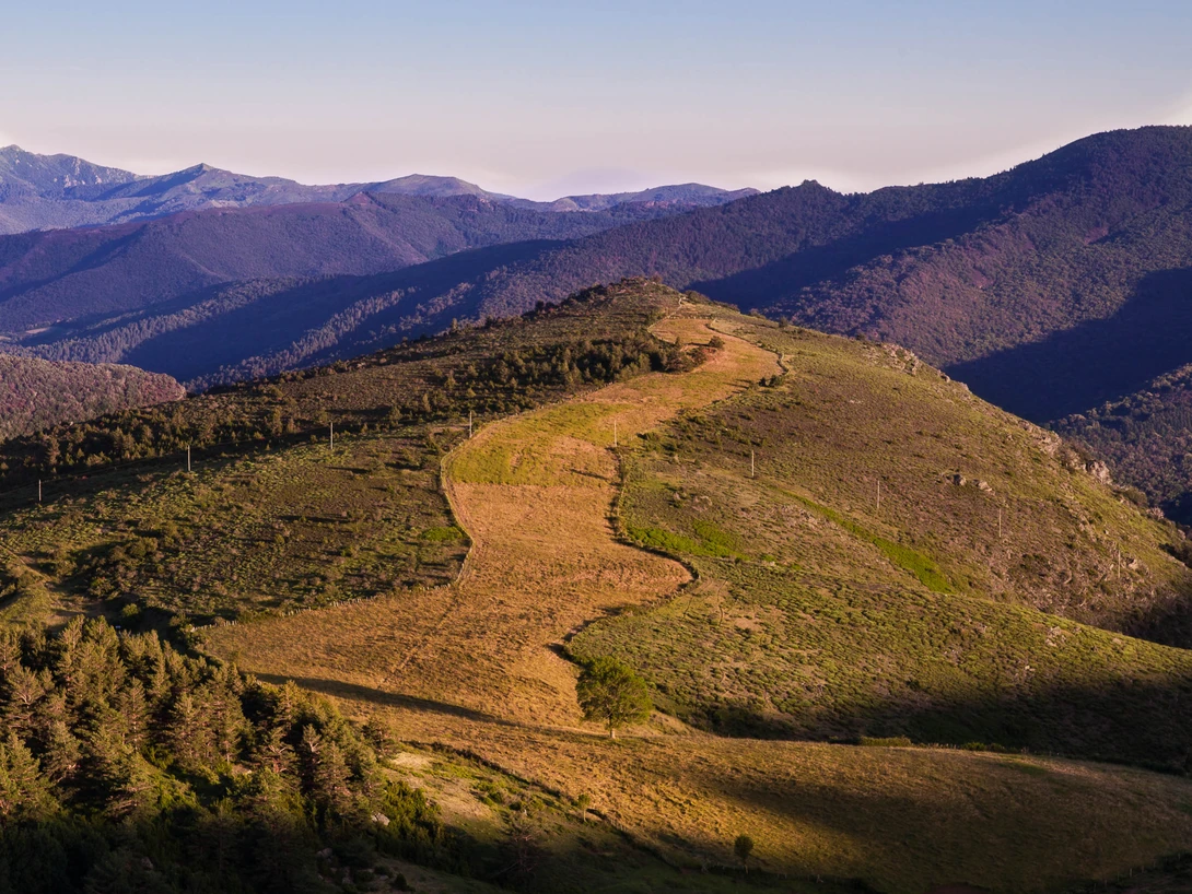 View Meadow in landscape by david huguet