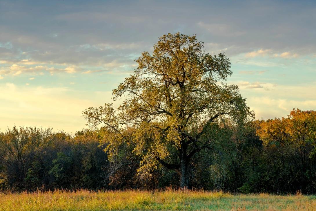 View 5039fd83861df60667ce1565da7b1c5c.jpg by anthony crouch