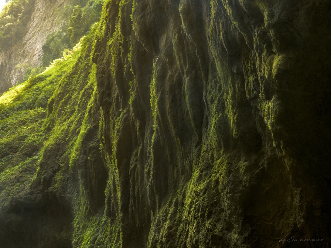 View Edge of Green by Ke Liu