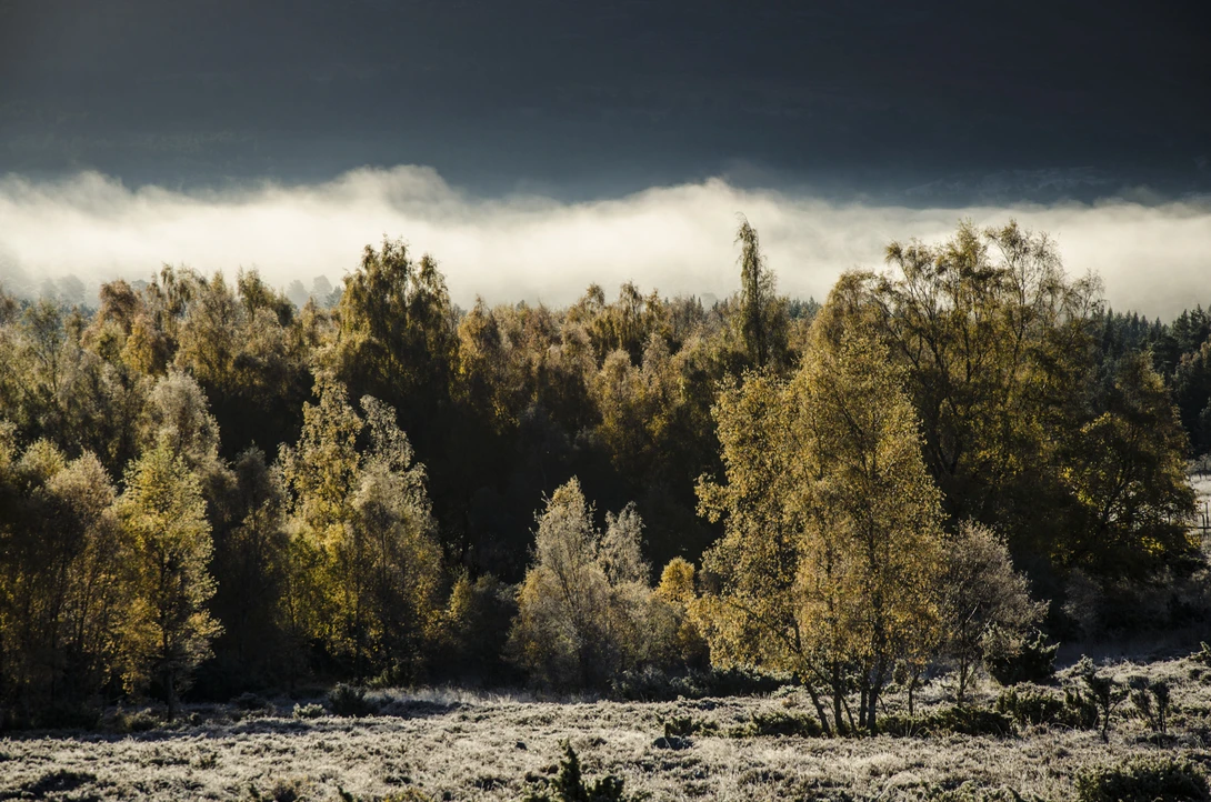 View 60814d7f1814430086f68335a4e636f8.jpg by David Russell