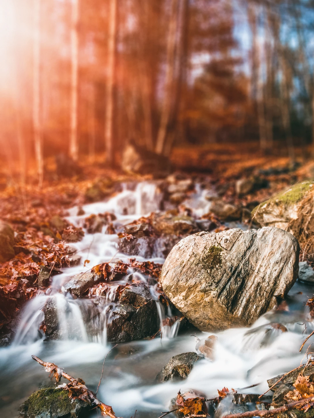 View Late Fall by Wojciech Sawicki