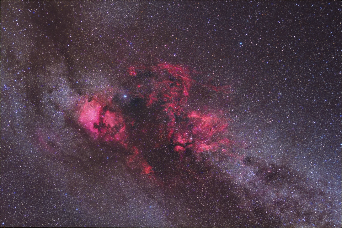 View Wide Field of Cygnus by Christopher Scott