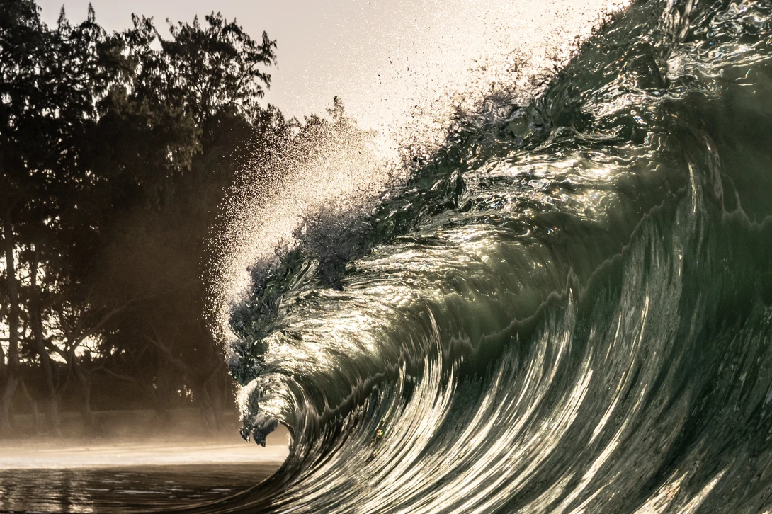 View Misty Morning Gem by Andrew Akana