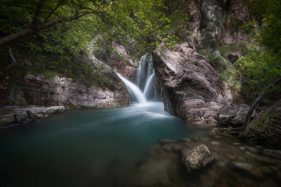 View Spring radiance by Nik & Alexandra