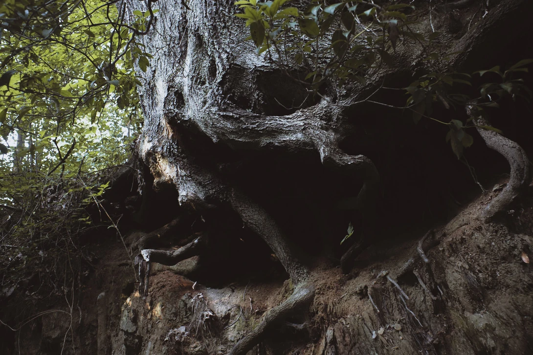View 60eca9e25407a54b6befe7faf5611d9c.jpg by Matt Hooker