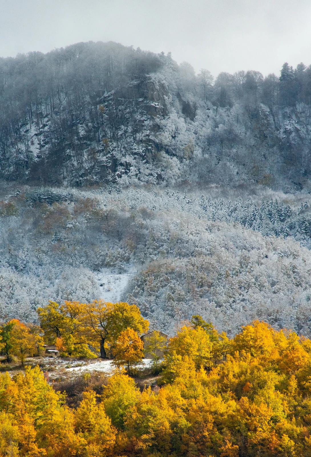 View Fall and winter by M. Hijmans