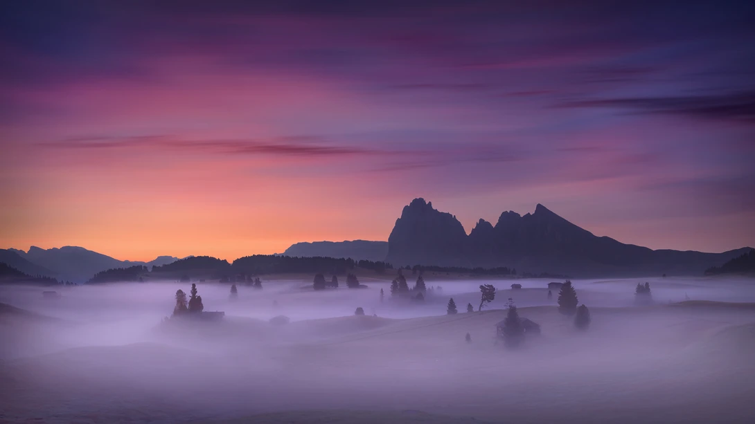 View 9f2849bd88f5f1dc3a447ac1cc2d127a.jpg by Radisa Zivkovic
