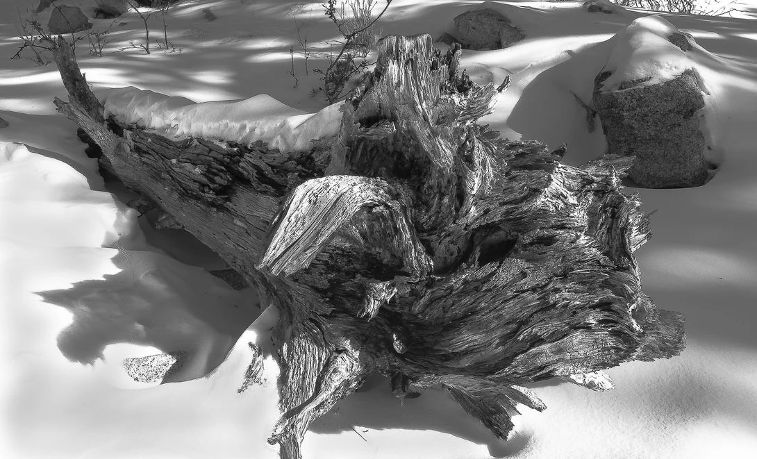 View Black and White by David Matthews