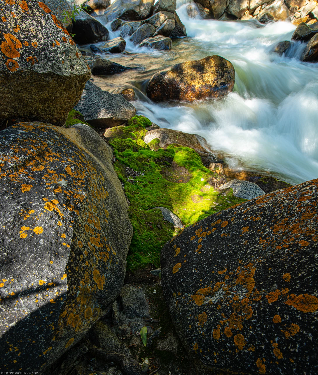 View Moss by David Matthews