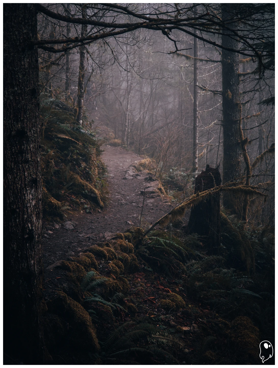 View 343090f1e4ececae34bc133cc2cc799b.jpg by Logan Johnson