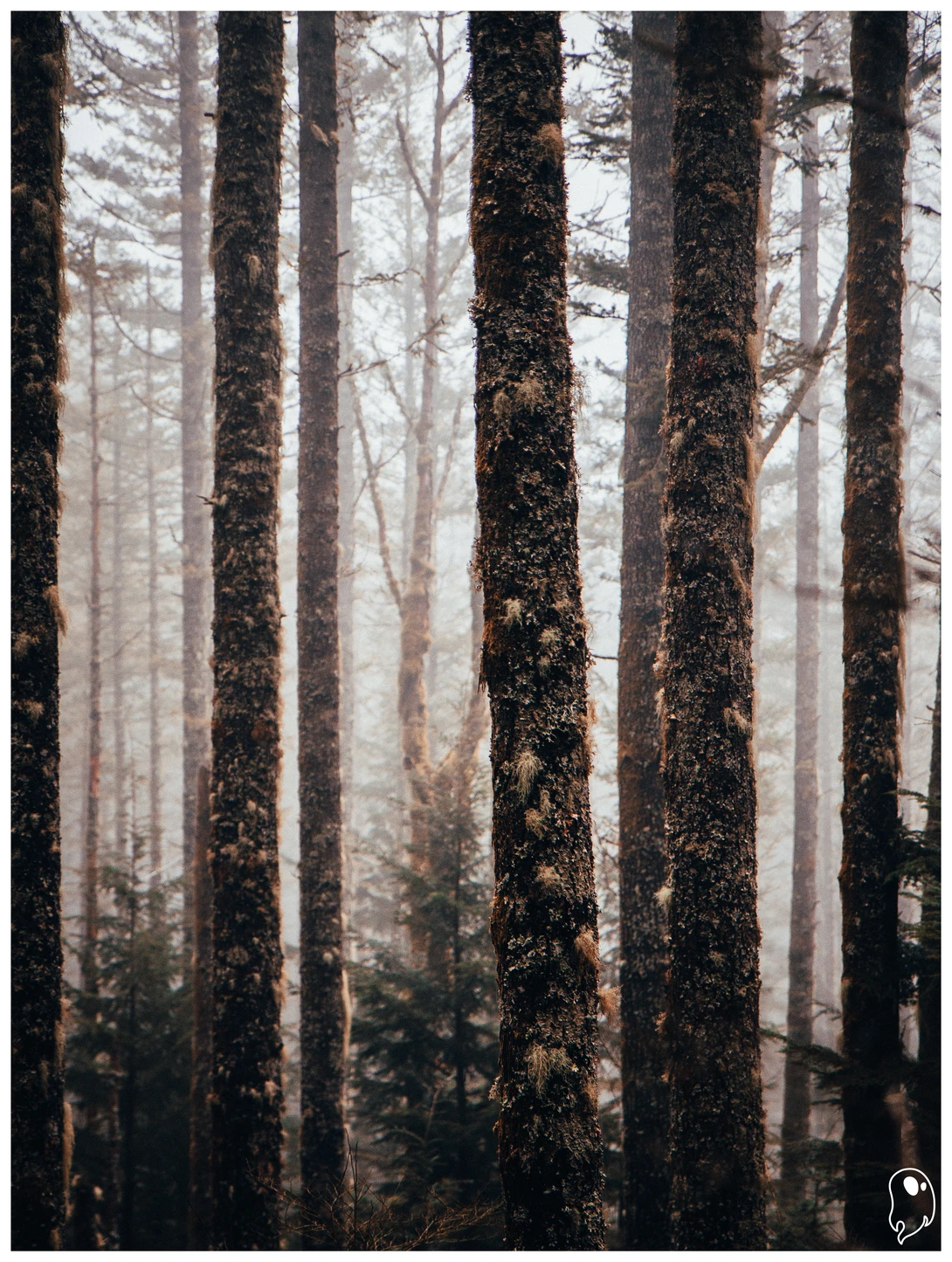 View Untitled 4 by Logan Johnson