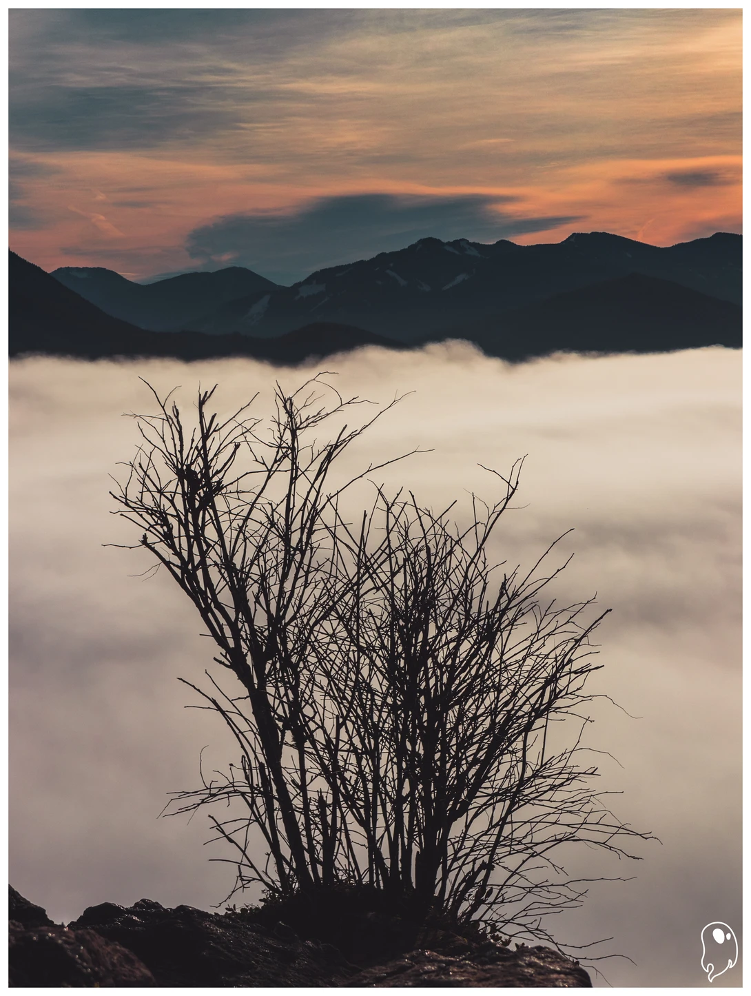 View 68262f222377382de4a00d030eb7b4b6.jpg by Logan Johnson
