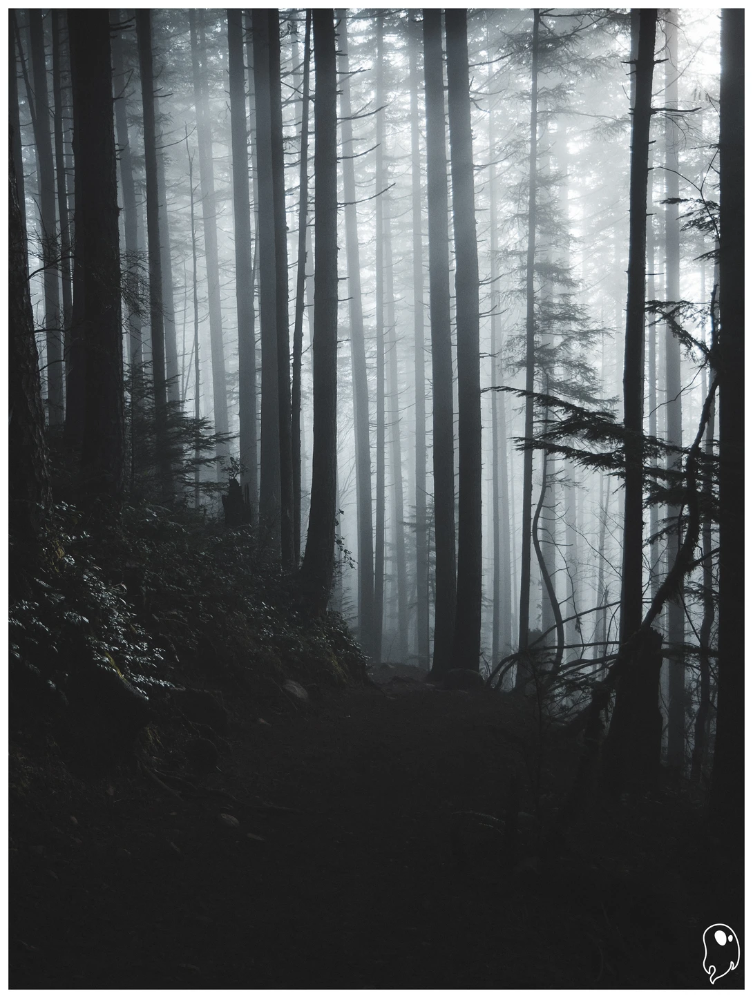 View Untitled 3 by Logan Johnson