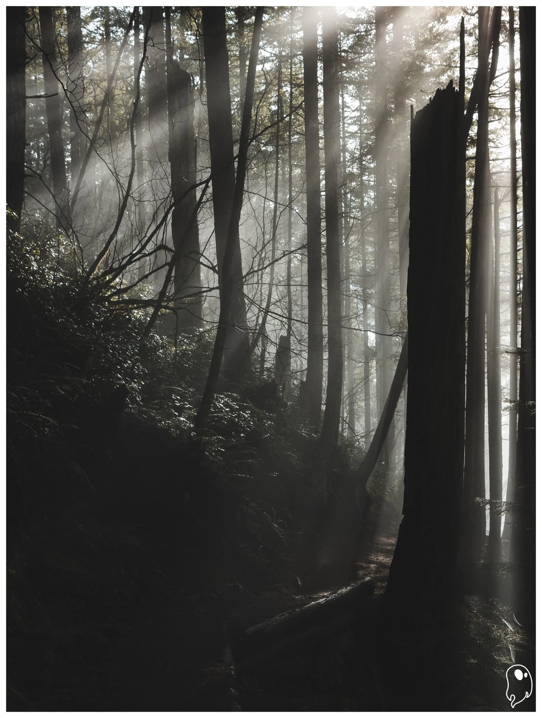 View a53c9d711ab862393898c05989b41d98.jpg by Logan Johnson