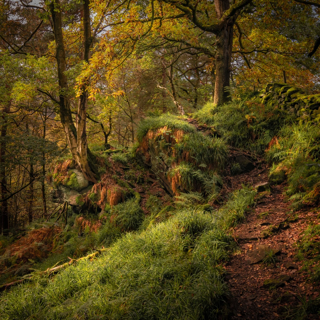 View Hardcastle Crags by Michael Pickles