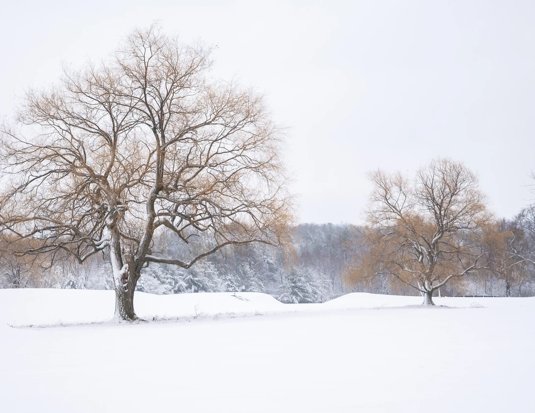 View fb66d186047362d1c10ad72be18ac27f.jpg by Alan Brown