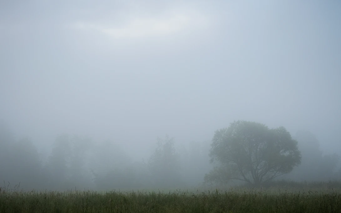 View Breaking through the fog by Alan Brown