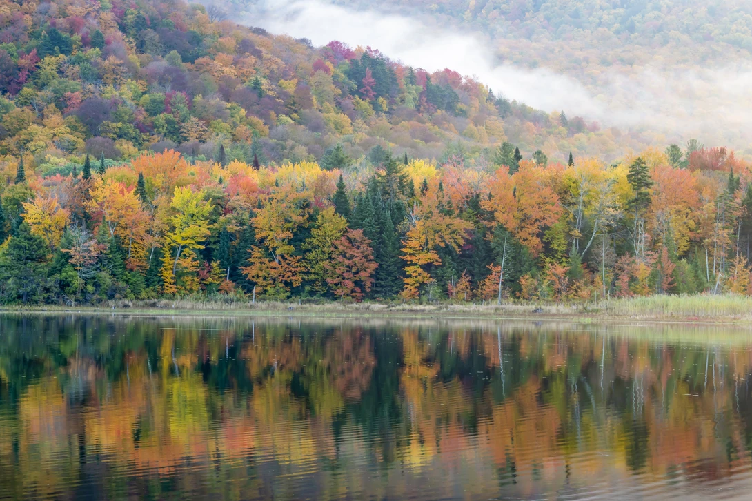 View Belvidere Fall #1 by Alan Brown