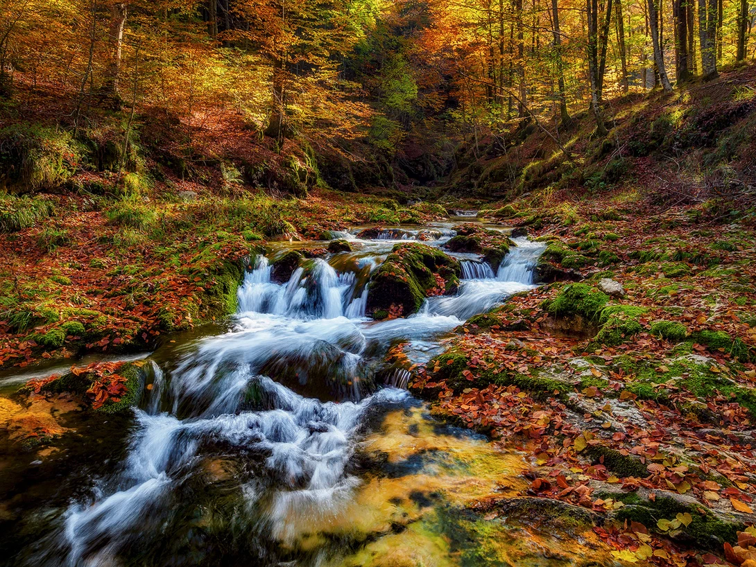 View 29b3c4e2b619bb9fe3fedd849b061589.jpg by Michele Buttazzoni