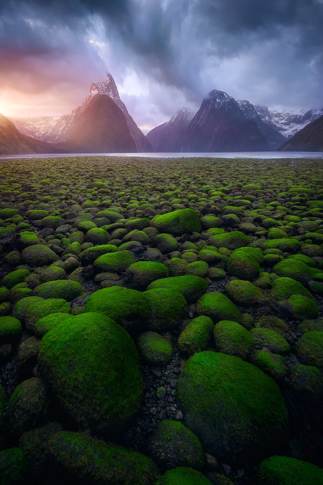 View Milford Sounds by Léo Fontanel