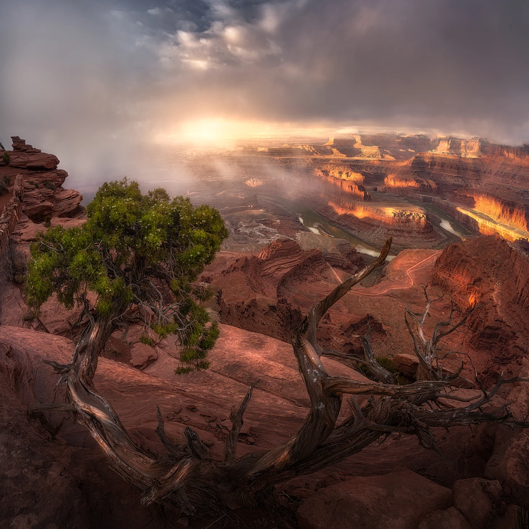 View Beyond The Rim by Cody Taylor